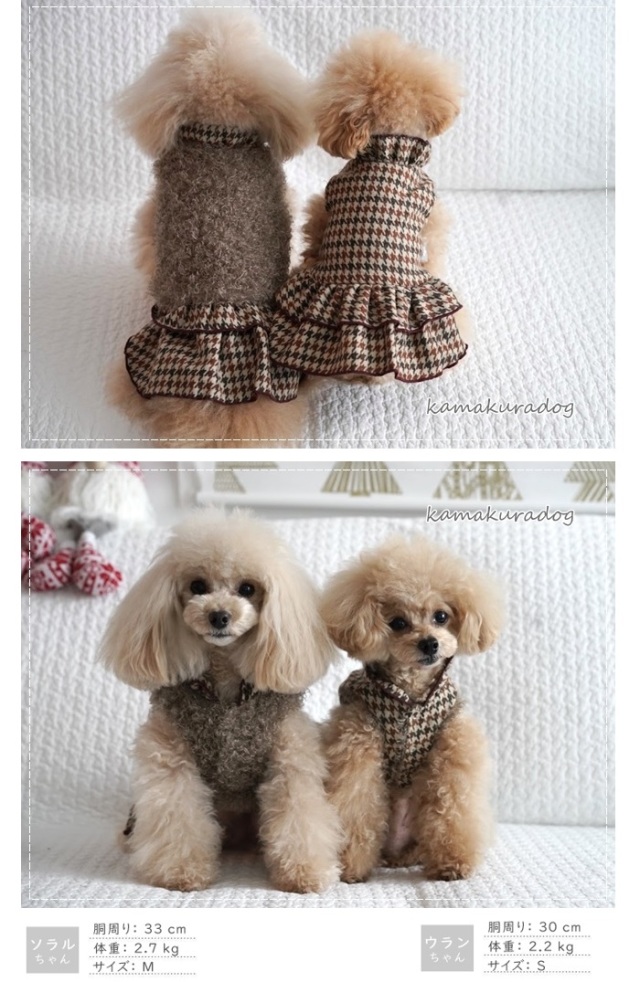 w527a.jpg?t=20221223110341