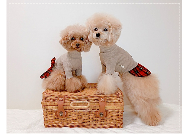 可愛い小型犬の洋服通販 鎌倉ドッグ タグ＆チェックワンピース
