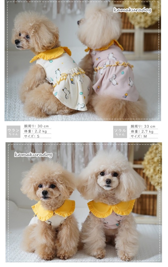 ハンドメイドひまわりとマーガレットバックリボンワンピース犬服