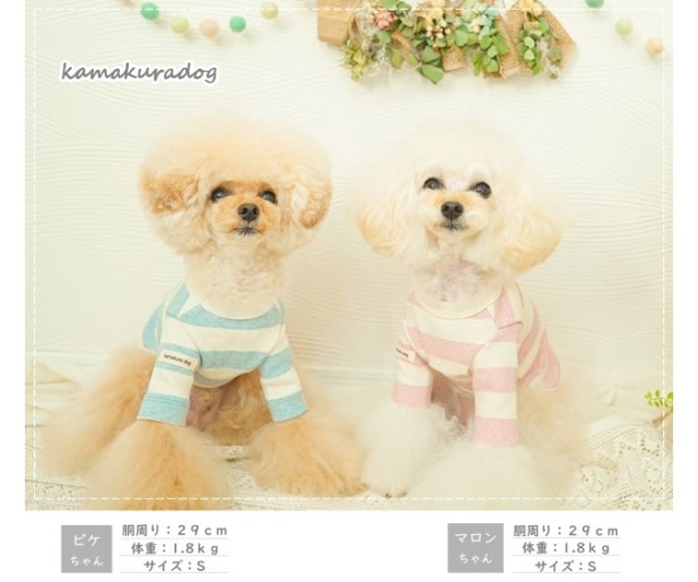 【新品】Bobo choses ボボショーズ　ドッグ　犬　ワンピース 新品】Bobo choses ボボショーズ ドッグ 犬 ワンピース
