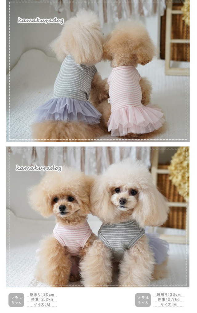 可愛い小型犬の洋服通販 鎌倉ドッグ プリマチュールワンピース