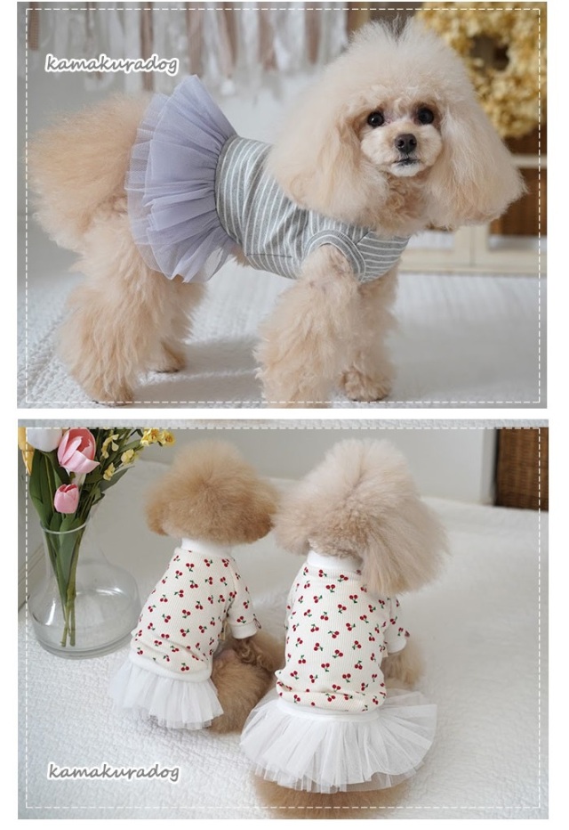 可愛い小型犬の洋服通販 鎌倉ドッグ プリマチュールワンピース