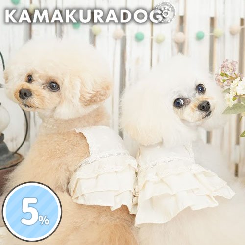 エクリュキャミワンピ