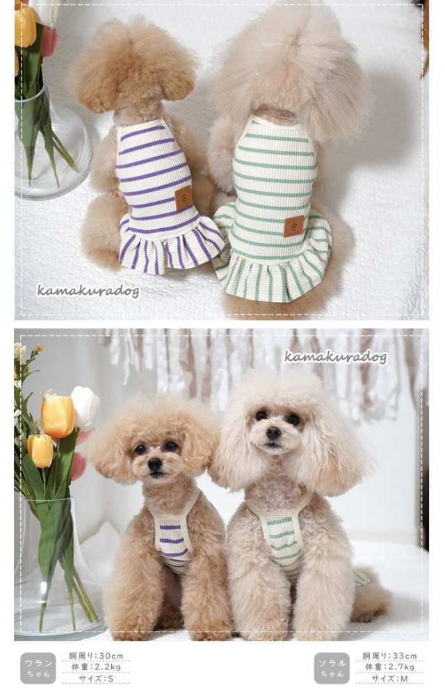 犬服ハンドメイド　ボーダーリブワンピ 可愛い小型犬の洋服通販 鎌倉ドッグ リブボーダーワンピース