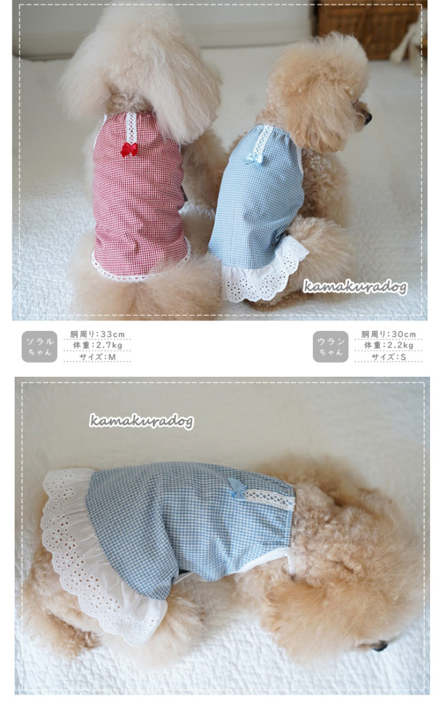 パピーちゃん コットンワンピース 可愛い小型犬の洋服通販 鎌倉ドッグ