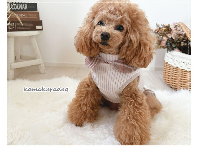 可愛い小型犬の洋服通販 鎌倉ドッグ タータンチェックワンピ＆つなぎ