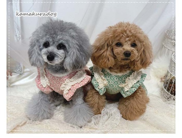 犬服　フラワースマイルチェック　デザイン　ワンピース見本 フラワー襟刺繍入りギンガムチェックワンピース（ペットウェア