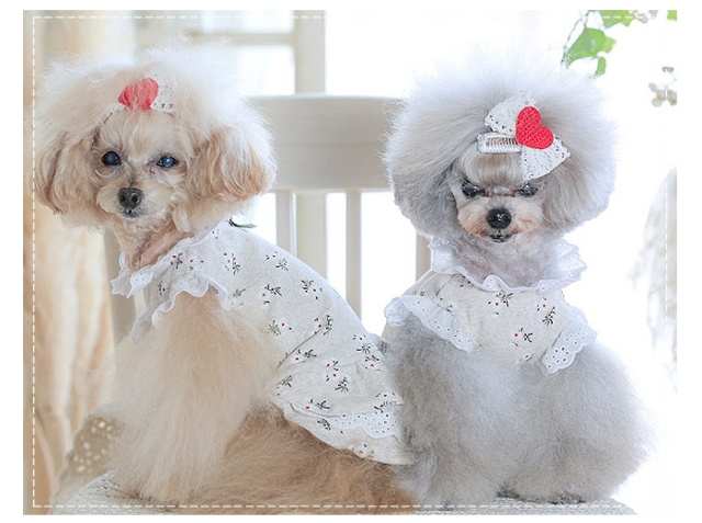 ショコラ犬服ハンドメイドワンピース ハンドメイド犬服 ワンピース バルーンピンクの水玉 （犬服 刺繍