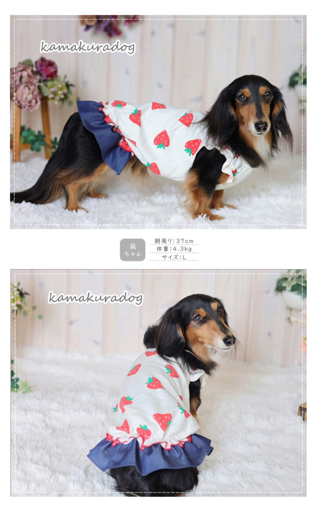 恋いちごのセットイントレーナー犬服 （胴回り33〜49センチ）