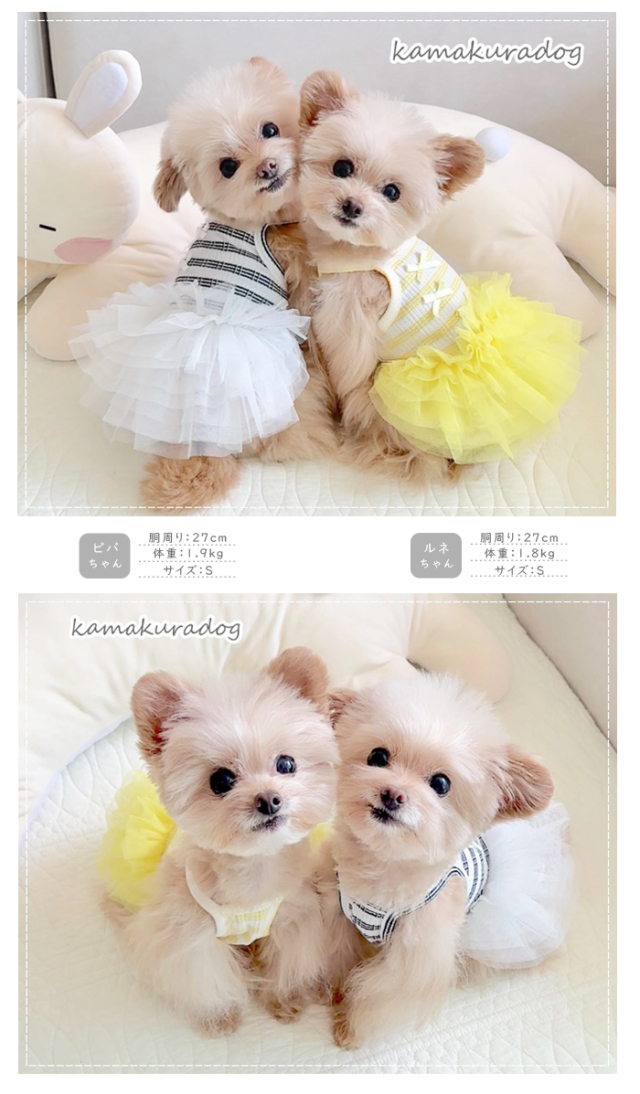 可愛い小型犬の洋服通販 鎌倉ドッグ チュチュキャミワンピース