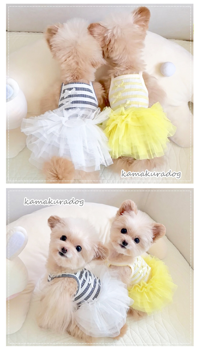 可愛い小型犬の洋服通販 鎌倉ドッグ チュチュキャミワンピース