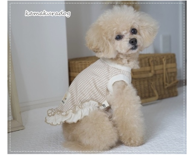 オーガニックカプチーノショート丈タンク・ワンピ 可愛い小型犬の洋服
