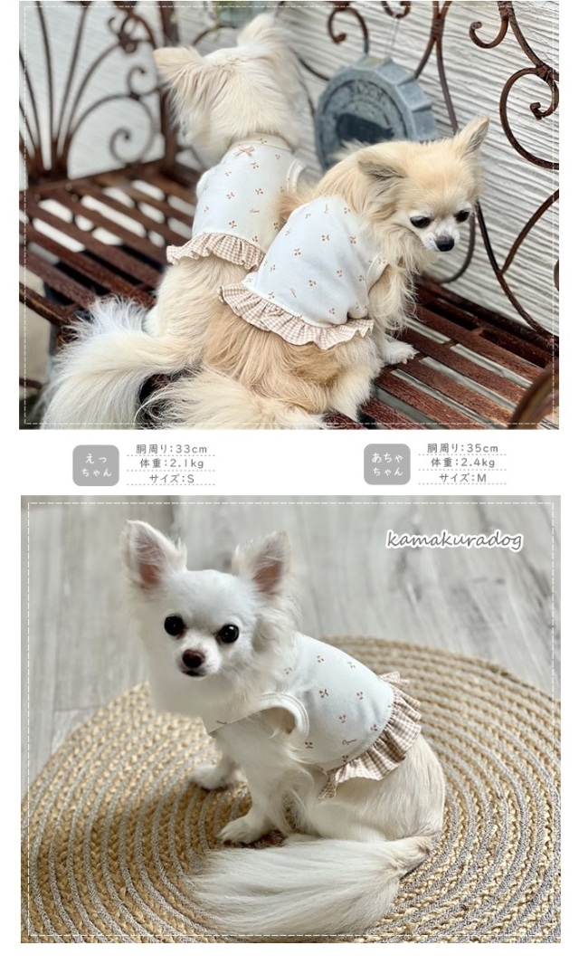 ハンドメイド　カットソー　オーダー小型犬 ハンドメイド犬服 Sサイズ 小型犬用 恐竜柄Tシャツ【アイボリー