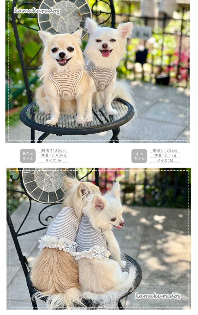 ラブリーショート丈タンク＆ワンピ 可愛い小型犬の洋服通販 鎌倉ドッグ