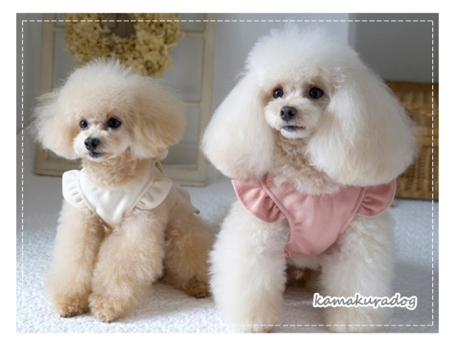 ボンボンリボンつなぎ＆ワンピ 可愛い小型犬の洋服通販 鎌倉ドッグ