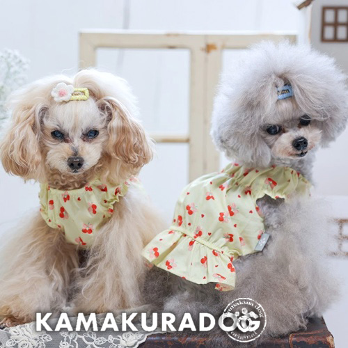 犬用フルーツ柄特集｜可愛い小型犬用フルーツデザインウェア