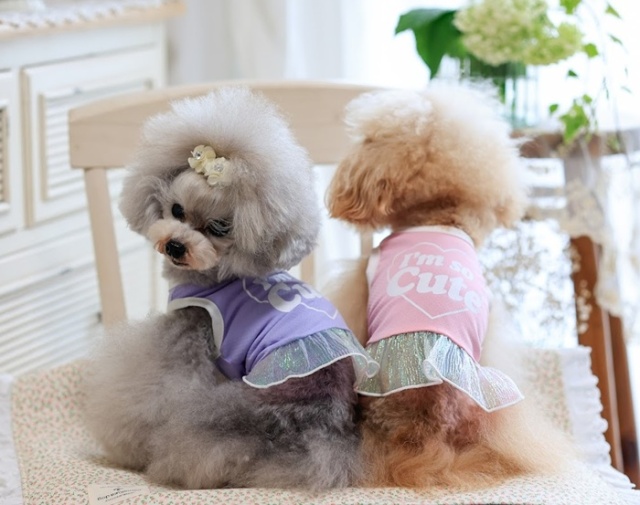 dogwear ファンシーツィードフリルワンピース　ハンドメイド dogwear ファンシーツィードフリルワンピース ハンドメイド dogwear