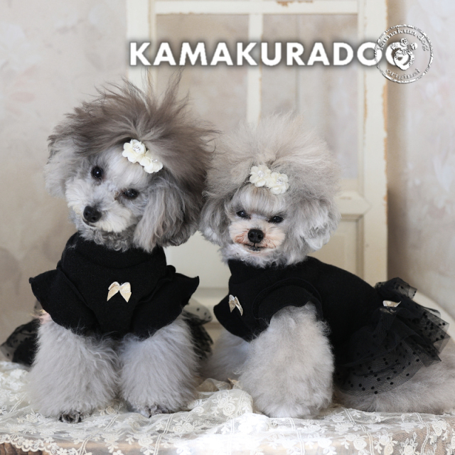 ワンピース 犬の服 鎌倉DOG