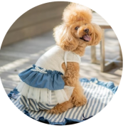 犬用カフェマット通販｜小型犬向けおしゃれマット