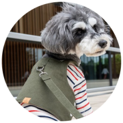 小型犬用デニム犬服特集｜おしゃれなデニムドッグウェア