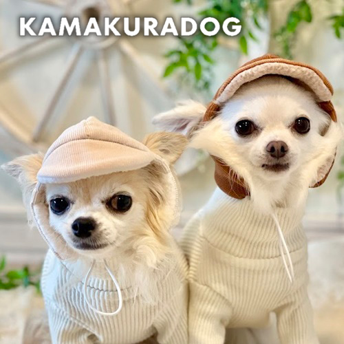 コーデュロイキャップ 可愛い小型犬の洋服通販 鎌倉ドッグ