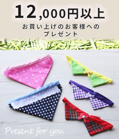 12,000円以上のお買い上げ(3つ）