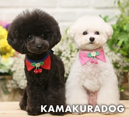 プリティーチェリー