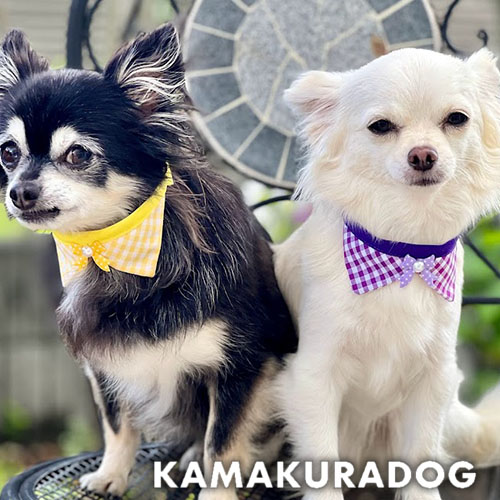 夏浴衣風(黄色×白)わんちゃん猫ちゃん用首輪 夏浴衣風(白×黄色)わんちゃん猫ちゃん用襟つき首輪