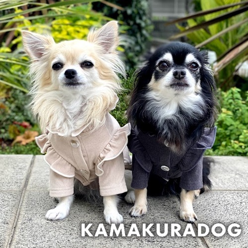 可愛い小型犬の洋服通販 鎌倉ドッグ クラシックフリルトップス