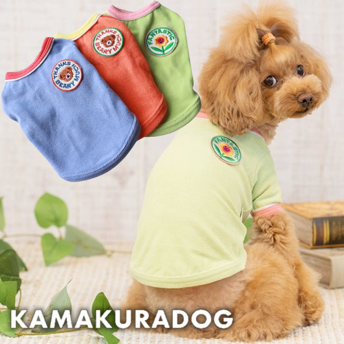 ベアリーマッチトップス