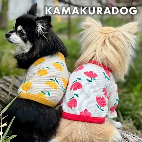 ワッフルチューリップ