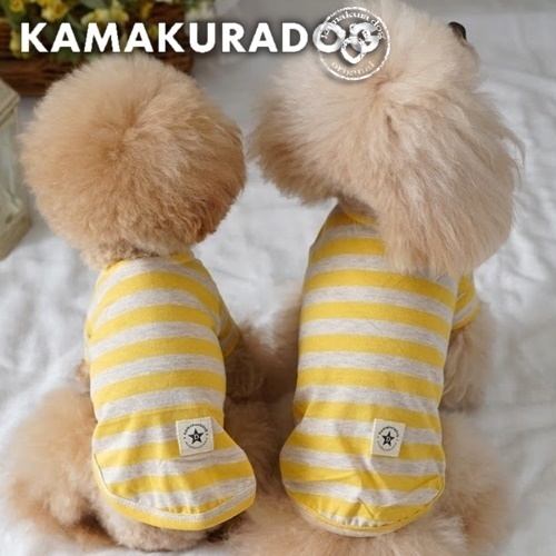 イエローボーダーシャツ