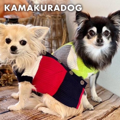 カラーリングニットベスト