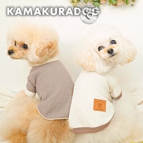 ＊mocha♡dog ＊ プードル(ラテM)☆ぬいぐるみわんこ teddy 犬 mocha♡dog ＊ プードル(ラテM)☆ぬいぐるみわんこ teddy 犬 - メルカリ