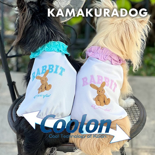 エアーメッシュラビット