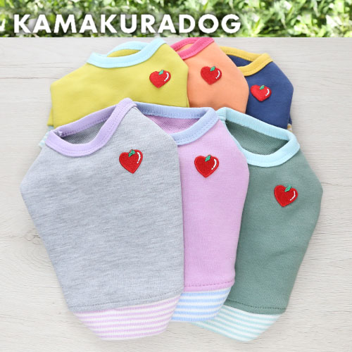 アップルキャンディトレーナー