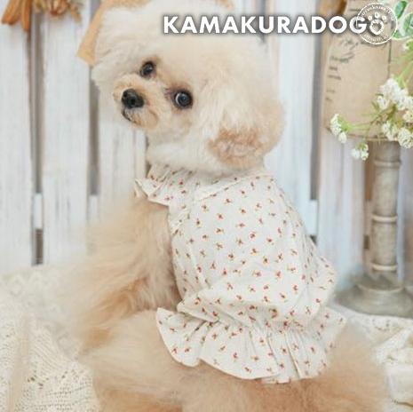 ローズブラウス