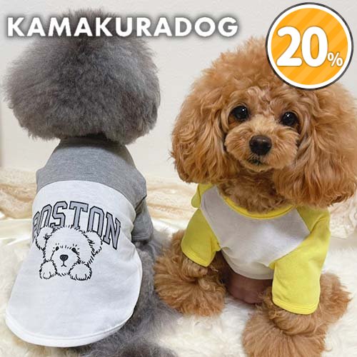 BOSTON&ベアトップス