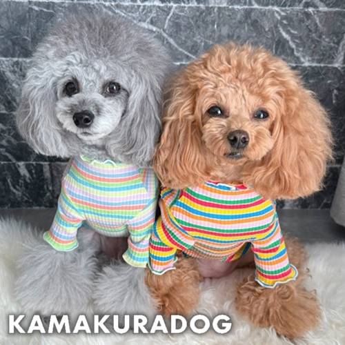 春色マルチボーダートップス