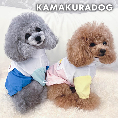 キャンディウィンドブレーカー