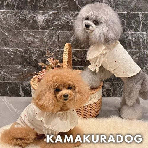 プチハートフリルブラウス