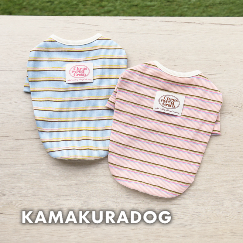 シトラスボーダートップス