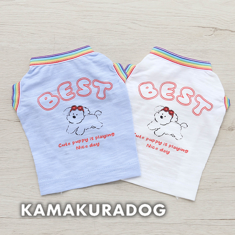 BESTパピータンク