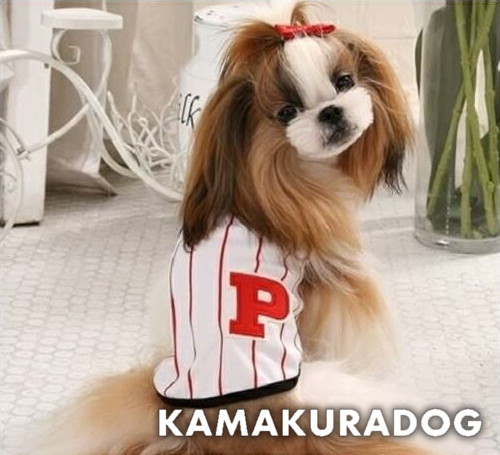 キャラクター Tシャツ レディース カットソー ストレッチ トップス マルチーズ 犬服 ワンコプリント ドッグTシャツ かわいい カワイイ 可愛い ピンク Tシャツ レディース カットソー ストレッチ ワンコ トップス