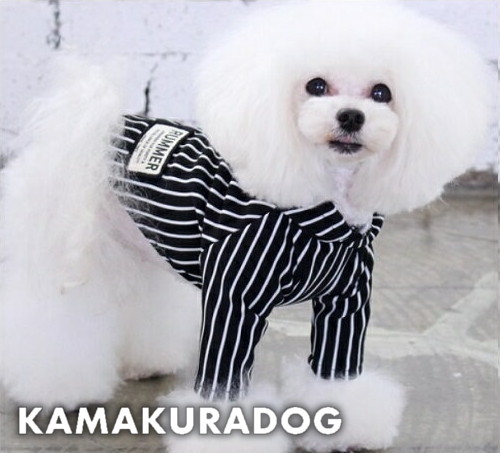 ストライプフードシャツ