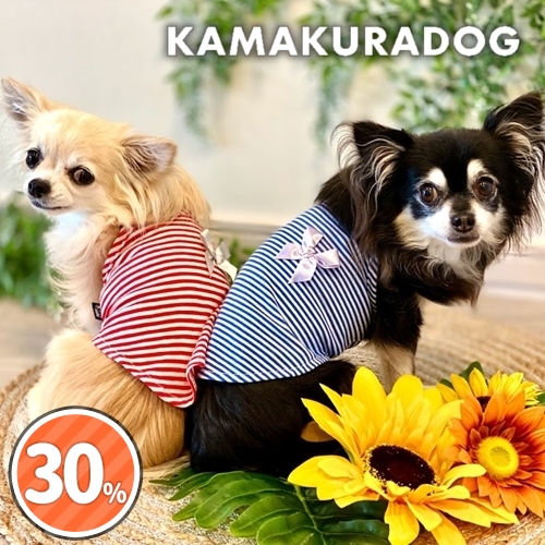 ボーダーキャミ