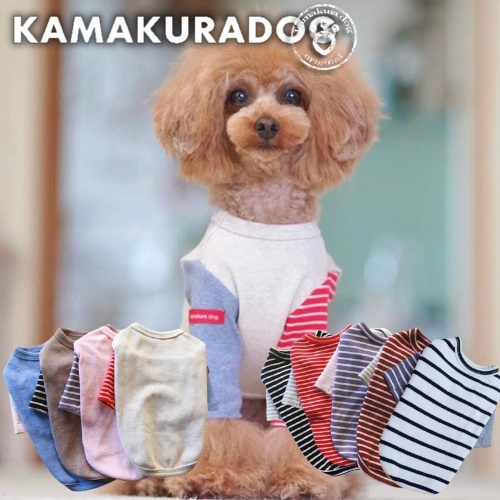 カノンボーダー