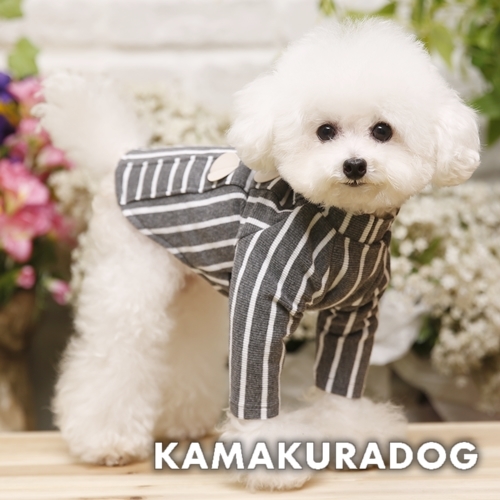 グレーストライプ