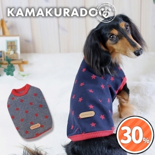 ベーシックスター