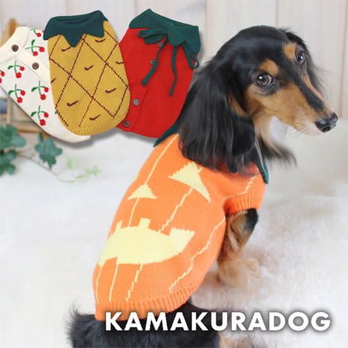 パーティーニット